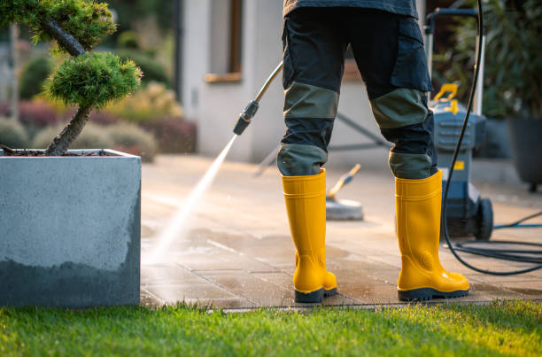 Best Affordable Pressure Washing  in USA